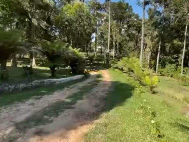 Sítio e chácara venda em Região Geográfica Imediata de Curitiba, Região Metropolitana de Curitiba