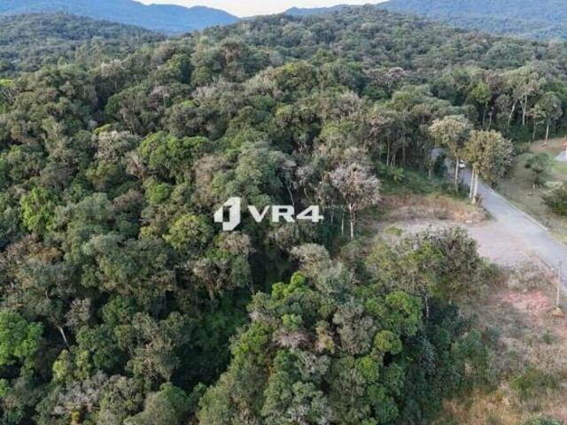 Sítio e chácara venda em Parque da Fonte, São José dos Pinhais