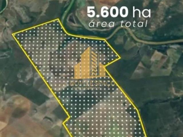 Sítio e chácara venda em Região Geográfica Imediata de Patos de Minas, Brasilândia de Minas