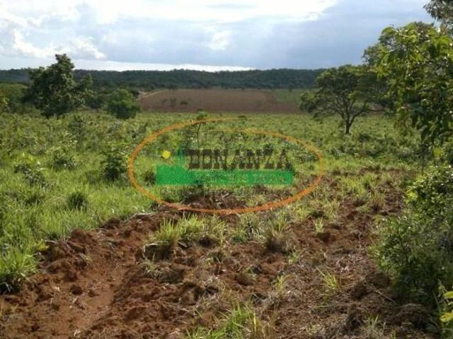 Sítio e chácara venda em Unaí