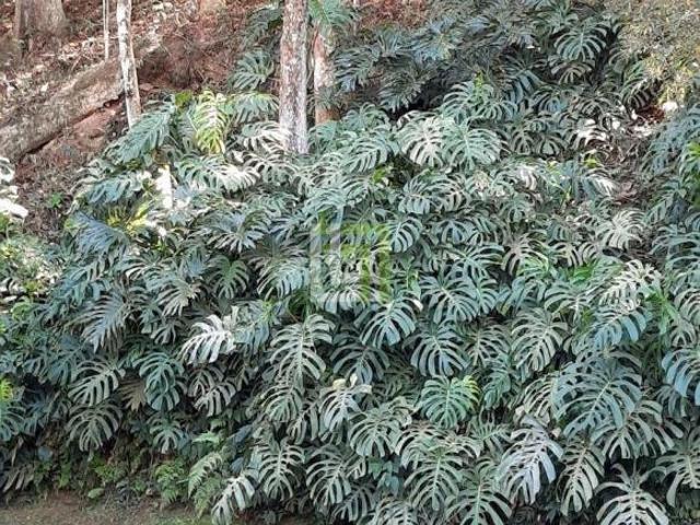 Sítio e chácara venda em Região Imediata de Jundiaí, Campo Limpo Paulista