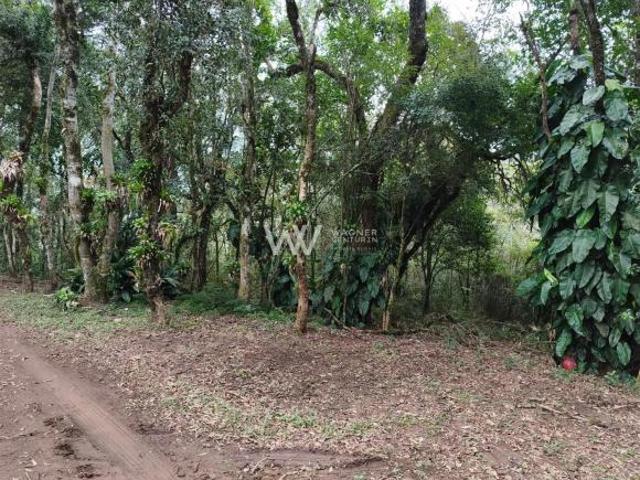 Sítio e chácara venda em Região Geográfica Imediata de Caxias do Sul, Caxias do Sul