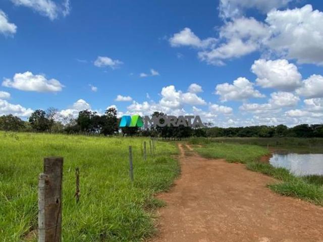 Sítio e chácara venda em Região Geográfica Imediata de Curvelo, Curvelo