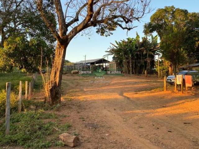 Sítio e chácara venda em Paracatu