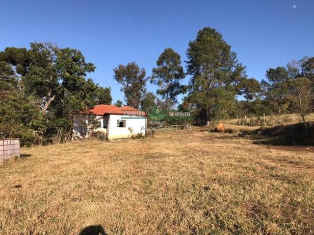 Sítio e chácara venda em Região Geográfica Imediata de Lavras, Carrancas