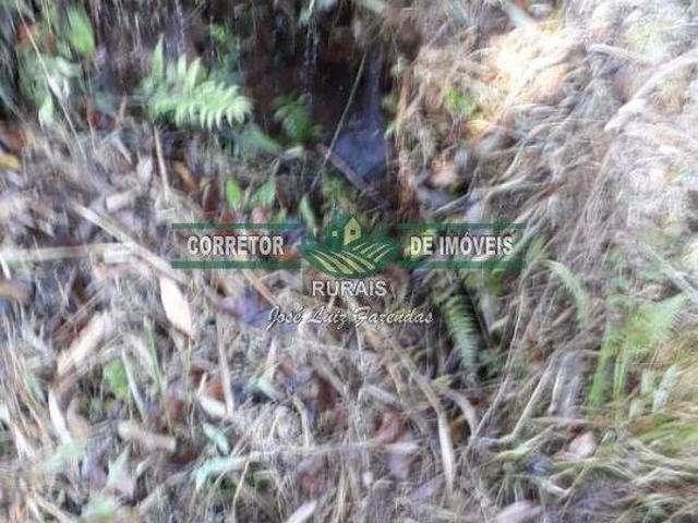 Sítio e chácara venda em Região Geográfica Imediata de Juiz de Fora, Liberdade