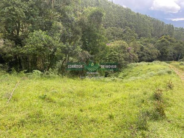 Sítio e chácara venda em Região Geográfica Imediata de Caxambu - Baependi, Aiuruoca