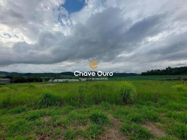 Sítio e chácara venda em Região Geográfica Imediata de Cascavel, Cascavel