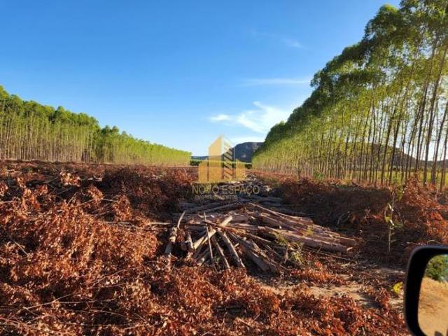 Sítio e chácara venda em Região Geográfica Imediata de Pirapora, Buritizeiro