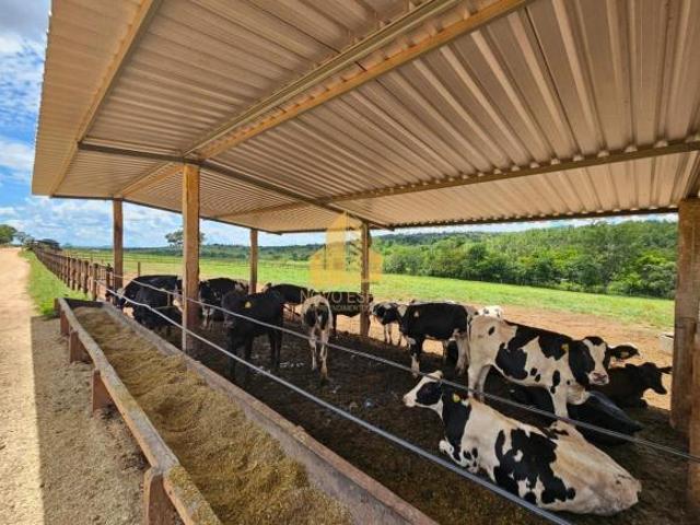 Sítio e chácara venda em Região Geográfica Imediata de Sete Lagoas, Cordisburgo