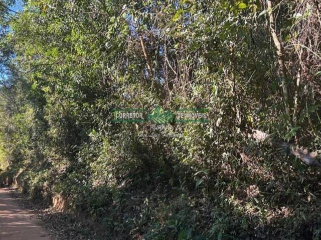 Sítio e chácara venda em Região Geográfica Imediata de Caxambu - Baependi, Aiuruoca