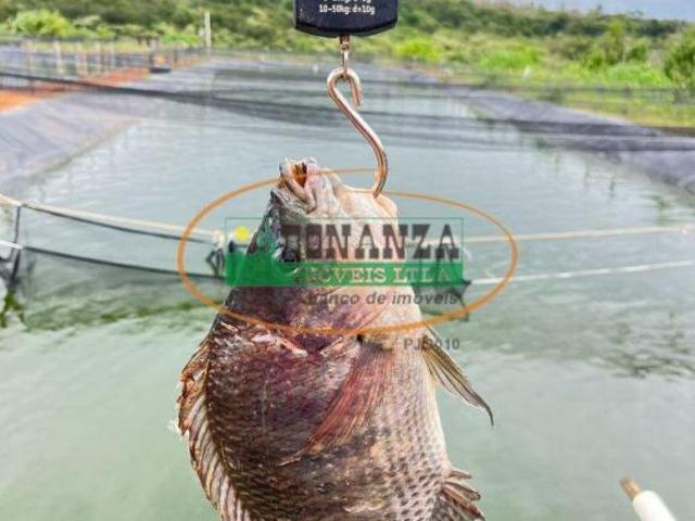 Sítio e chácara venda em Região Geográfica Imediata de Oliveira, Oliveira
