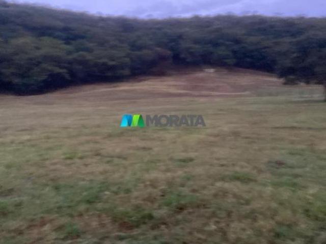 Sítio e chácara venda em Jequitibá, Região Geográfica Intermediária de Belo Horizonte
