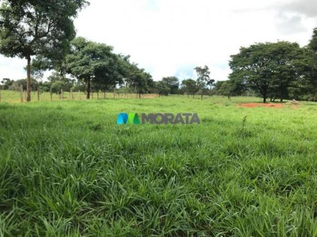 Sítio e chácara venda em Jequitibá, Região Geográfica Intermediária de Belo Horizonte