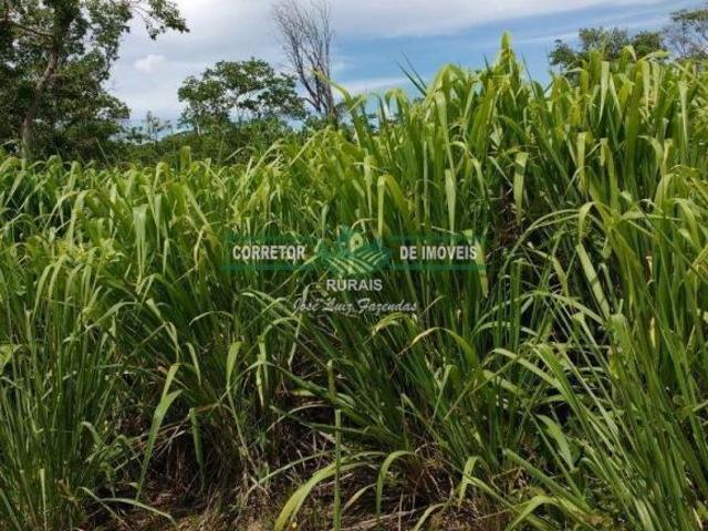 Sítio e chácara venda em Região Geográfica Imediata de Pirapora, Buritizeiro