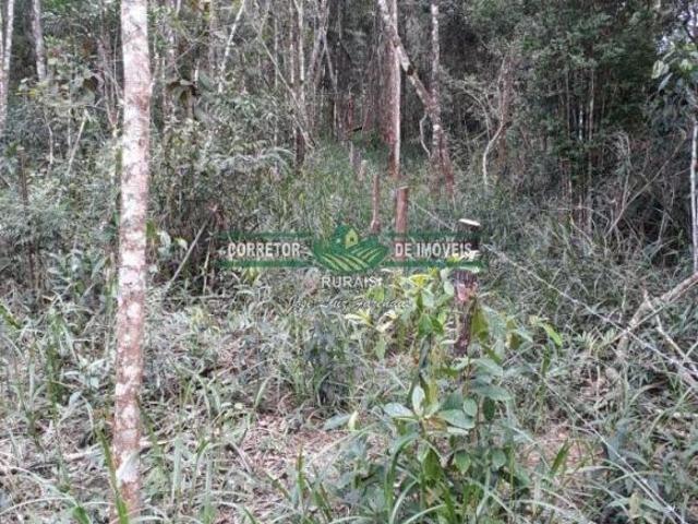 Sítio e chácara venda em Região Geográfica Imediata de Juiz de Fora, Liberdade