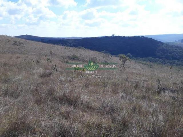 Sítio e chácara venda em Região Geográfica Imediata de Juiz de Fora, Andrelândia