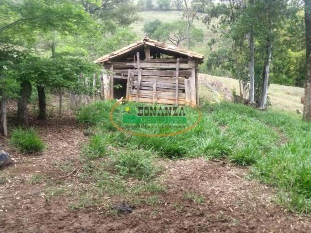 Sítio e chácara venda em Região Geográfica Imediata de Oliveira, Oliveira