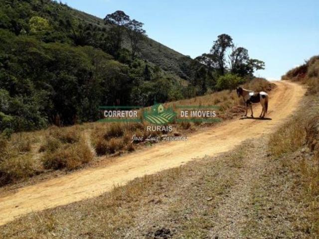 Sítio e chácara venda em Região Geográfica Imediata de Juiz de Fora, Liberdade