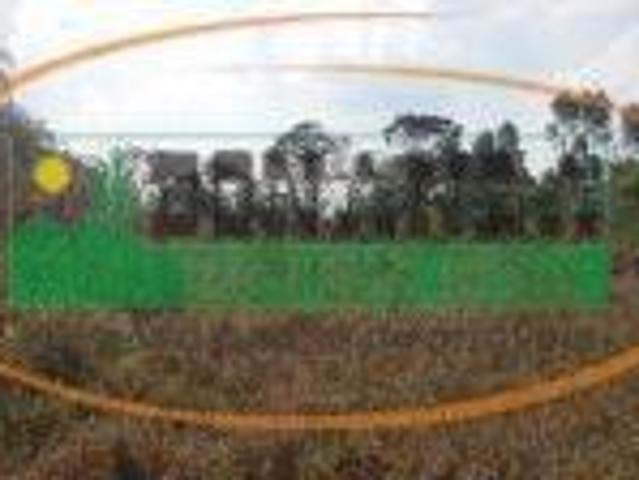 Sítio e chácara venda em Região Geográfica Imediata de Conselheiro Lafaiete, Casa Grande