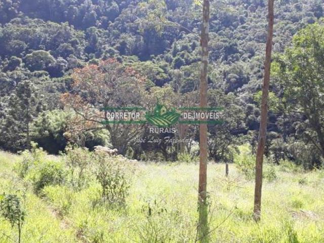 Sítio e chácara venda em Região Geográfica Imediata de Juiz de Fora, Liberdade