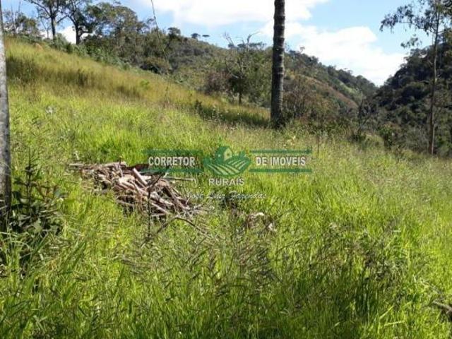 Sítio e chácara venda em Região Geográfica Imediata de Juiz de Fora, Liberdade