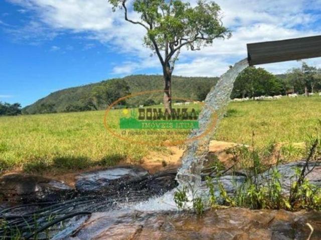 Sítio e chácara venda em Goiás, Região Geográfica Intermediária de Goiânia