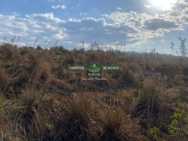 Sítio e chácara venda em Região Geográfica Imediata de Juiz de Fora, Andrelândia