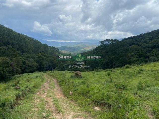 Sítio e chácara venda em Região Geográfica Imediata de Caxambu - Baependi, Aiuruoca