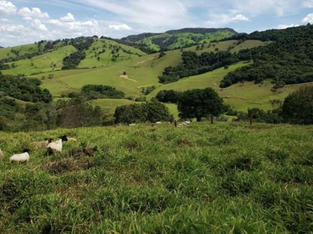 Sítio e chácara venda em Região Geográfica Imediata de Piumhi, Capitólio