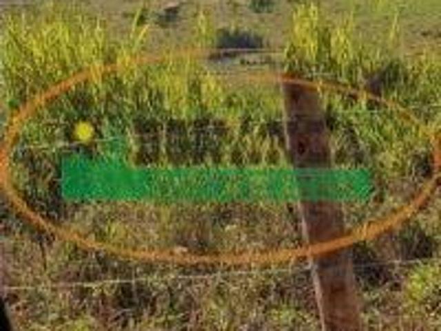 Sítio e chácara venda em Região Geográfica Imediata de Conselheiro Lafaiete, Casa Grande