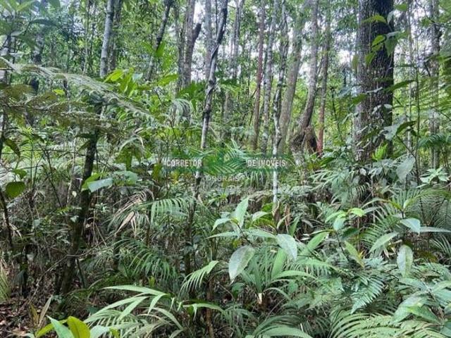 Sítio e chácara venda em Região Geográfica Imediata de Lavras, Carrancas