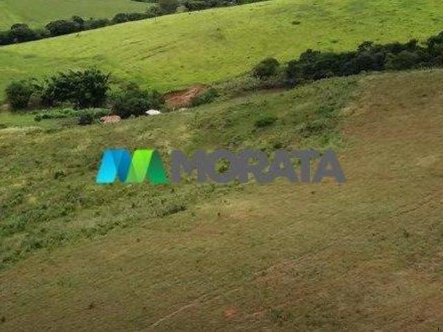 Sítio e chácara venda em Região Geográfica Imediata de Conselheiro Lafaiete, Belo Vale