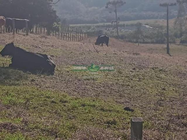 Sítio e chácara venda em Região Geográfica Imediata de Juiz de Fora, Liberdade