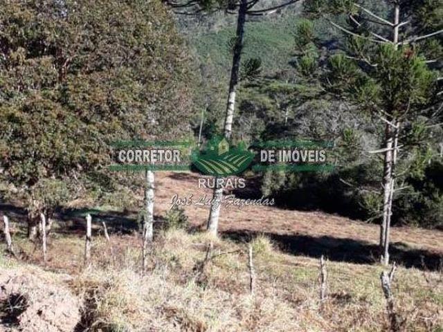 Sítio e chácara venda em Região Geográfica Imediata de Juiz de Fora, Liberdade