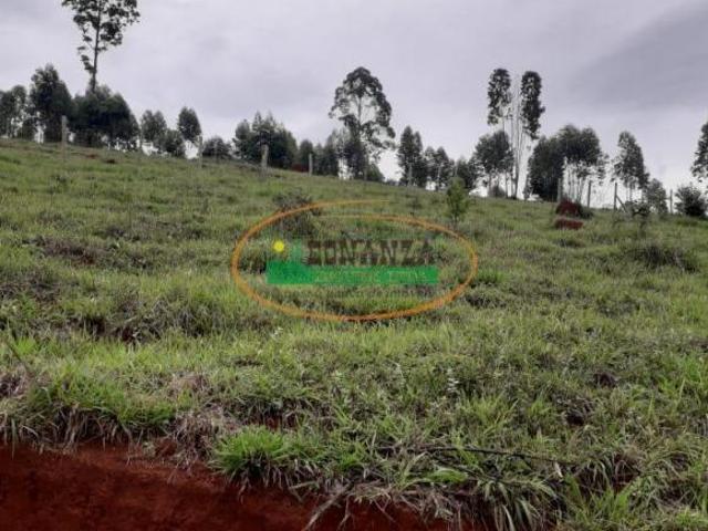 Sítio e chácara venda em Congonhas, Região Geográfica Intermediária de Juiz de Fora