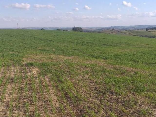 Sítio e chácara venda em Região Imediata de Sorocaba, Região Metropolitana de Sorocaba