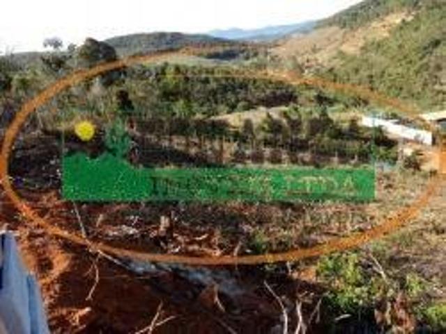 Sítio e chácara venda em Catas Altas da Noruega, Região Geográfica Intermediária de Juiz de Fora