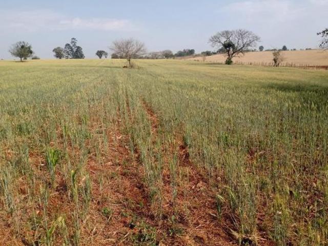 Sítio e chácara venda em Região Imediata de Sorocaba, Região Metropolitana de Sorocaba