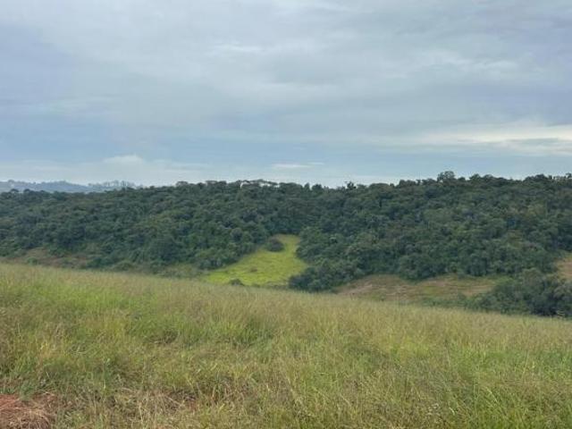 Sítio e chácara venda em Região Geográfica Imediata de Caxambu - Baependi, Minduri