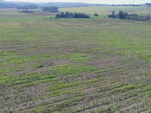 Sítio e chácara venda em Região Imediata de Sorocaba, Região Metropolitana de Sorocaba
