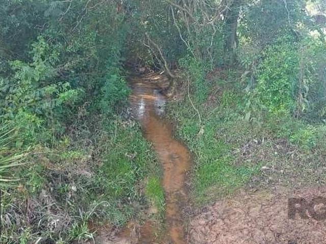Sítio e chácara venda em Região Geográfica Imediata de Lajeado, Taquari