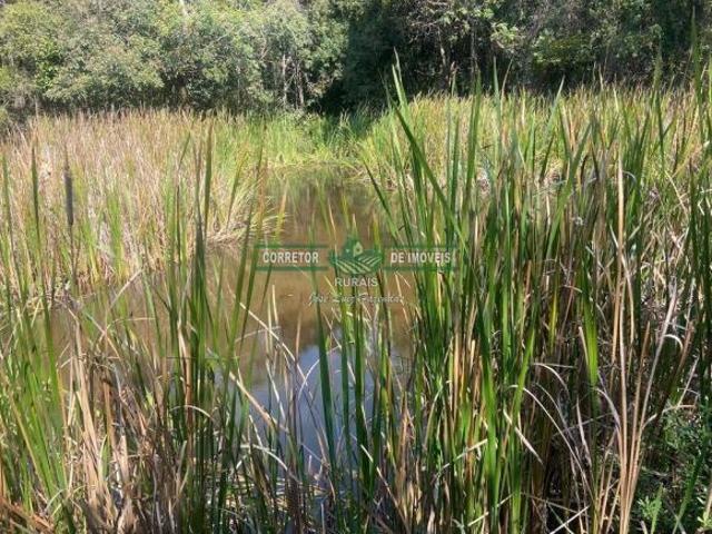 Sítio e chácara venda em Região Geográfica Imediata de Caxambu - Baependi, Serranos