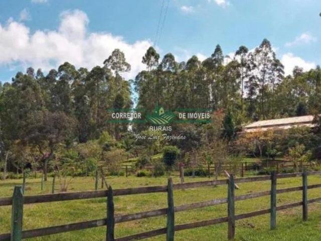 Sítio e chácara venda em Região Geográfica Imediata de São Lourenço, Conceição do Rio Verde