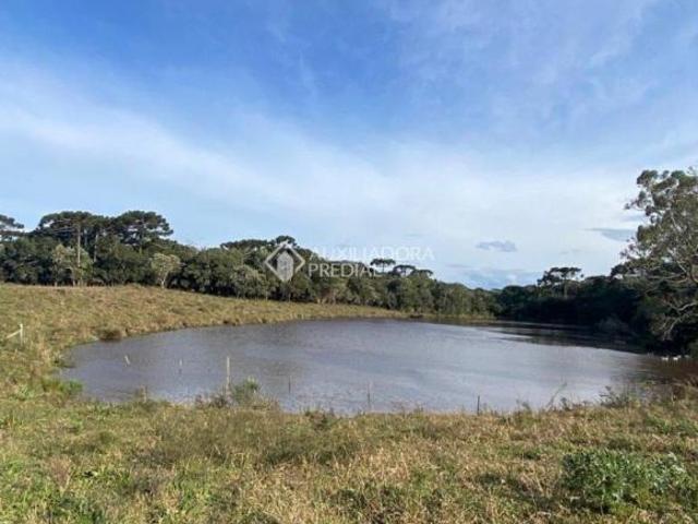 Sítio e chácara venda em Região Geográfica Imediata de Caxias do Sul, Cambara do Sul