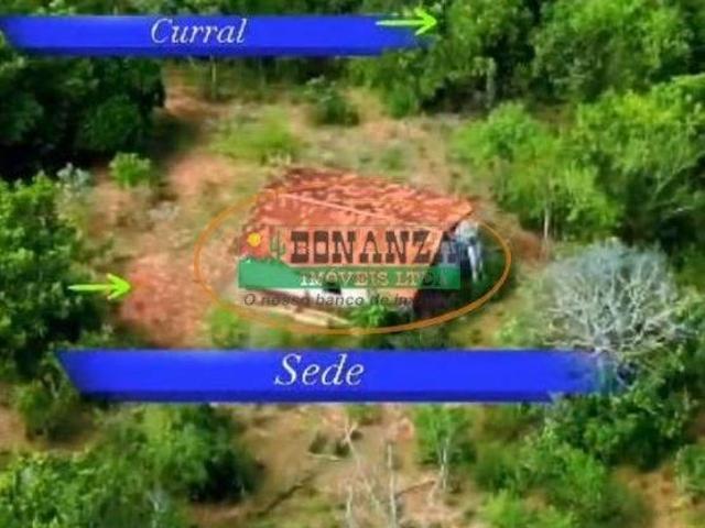 Sítio e chácara venda em Curvelo, Região Geográfica Intermediária de Belo Horizonte