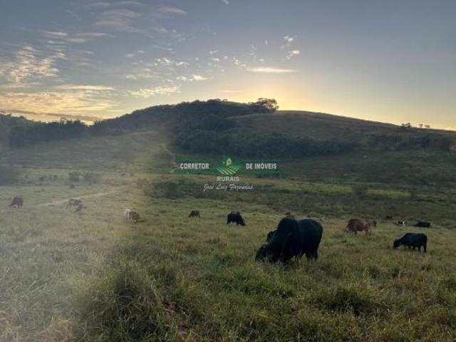 Sítio e chácara venda em Região Geográfica Imediata de Caxambu - Baependi, Baependi