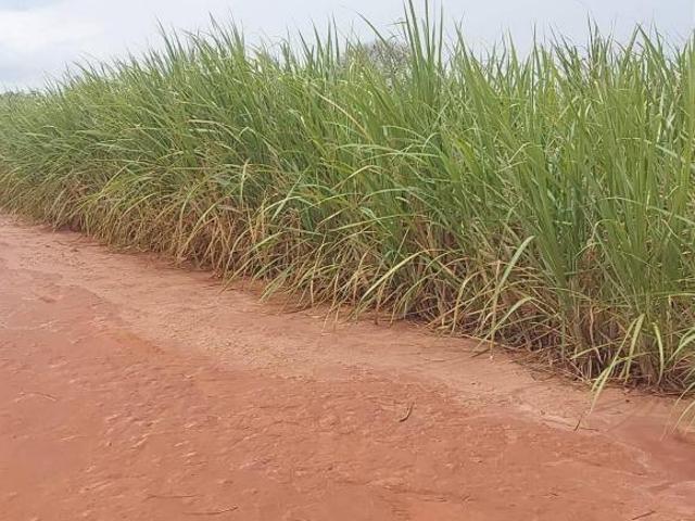 Sítio e chácara venda em Região Imediata de Sorocaba, Região Metropolitana de Sorocaba