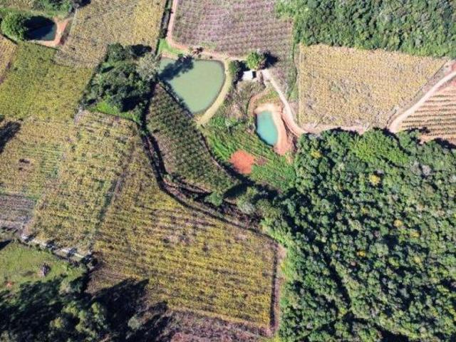 Sítio e chácara venda em Região Geográfica Imediata de Caxias do Sul, Nova Pádua