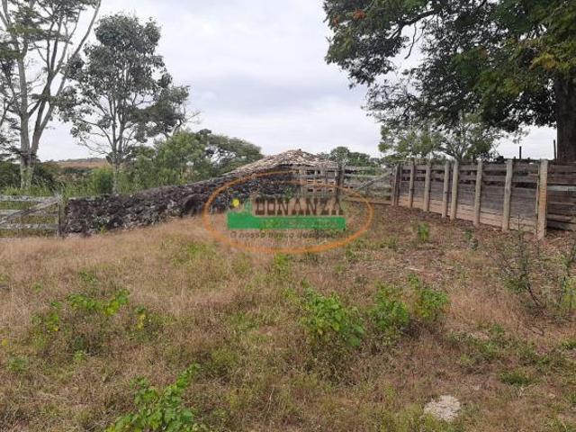 Sítio e chácara venda em Região Geográfica Imediata de Oliveira, Oliveira